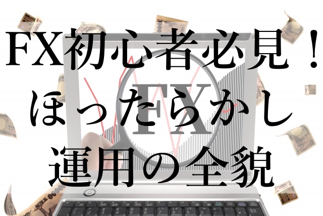 FX初心者必見！ほったらかし運用の全貌