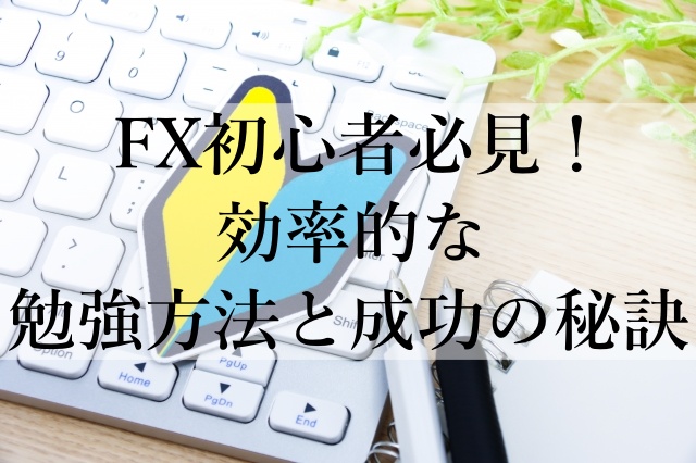 FX初心者必見！効率的な勉強方法と成功の秘訣