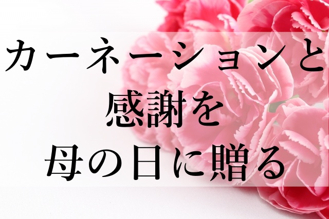 カーネーションと感謝を母の日に贈る